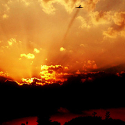 Jrphotog_060906120742_card