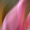 Pink_pj_s_thumb