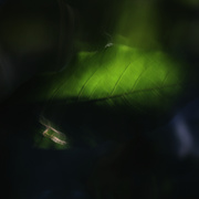 046picnik_card