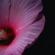 053b_card