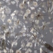 Cell-detail_card