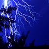 1_thumb