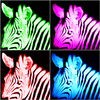 Stripespop_thumb