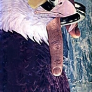 Eagle_fingers_it_card