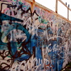 Dsc_0246_thumb