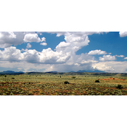 Moonson-img_0037_card