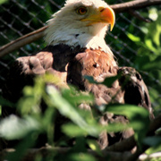 Img_5742ab2_card
