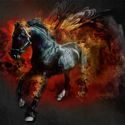 Image-25_card