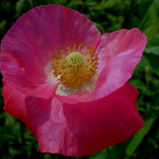 Dsc02860ab_fav2_card