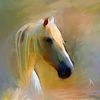 1210-alexandr_horse_5_little_lab_thumb