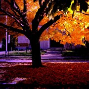 Fall_woodruff_place_tow_hall_edited_iiib_card