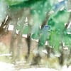 Jpg_winterwald_800_master_10_thumb