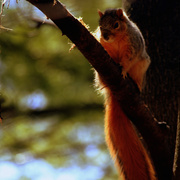 _mg_4098ab_card
