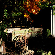 Img_2654editedab_card