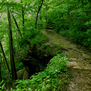P5090154b_card