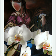 Orquidea11_card