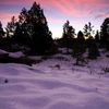 Snowy_sunrise_thumb