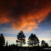 Sunrise_clouds_thumb