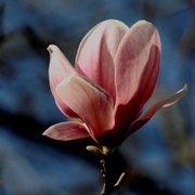 _mg_4269a_fav_2b_card