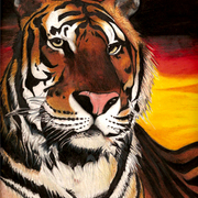 Night_tigernow_card