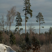 Img_7430_card