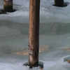 Img_8384_thumb