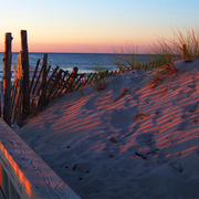 Beacha_card