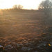 280109_square