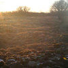 280109_thumb