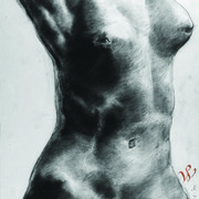 Female_torso_card