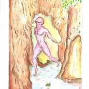 Man_s_forest_card