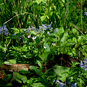 Img_5017ab_card