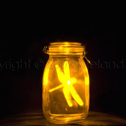 Alone_webpost_card