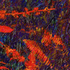 Berries2_thumb