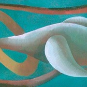 Pasarea_alba_card
