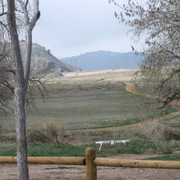Img_0750_1__card