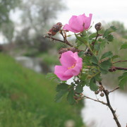Img_0775_1__card
