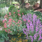 Img_0787_1__card