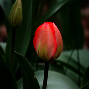 Img_4606p_card