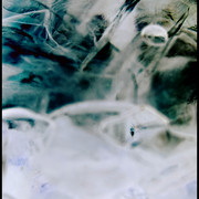 Ice_card