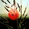 Noname_thumb