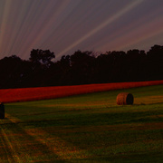 Hay_roll_iiab_card