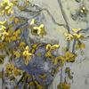 Sunflowers_and_paintings__001_thumb