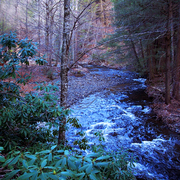 100_0424aa_card