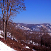 100_0572aaa_card