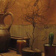 Flordeinvierno_card