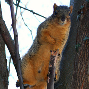 Img_3903ab2_card