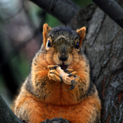 Img_4226ab_card