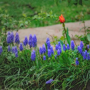 _mg_4851a2b_card