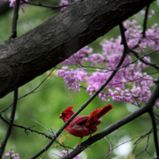 20080429_0463ab2_card